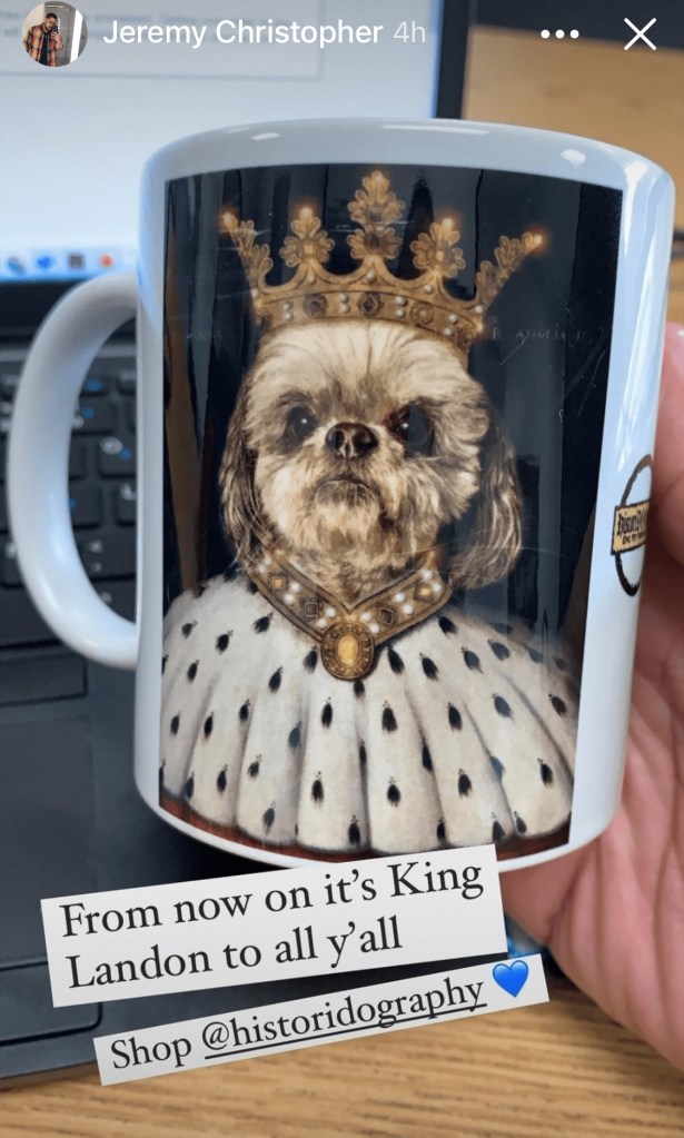 King Shih Tzu Mug by historidography.com