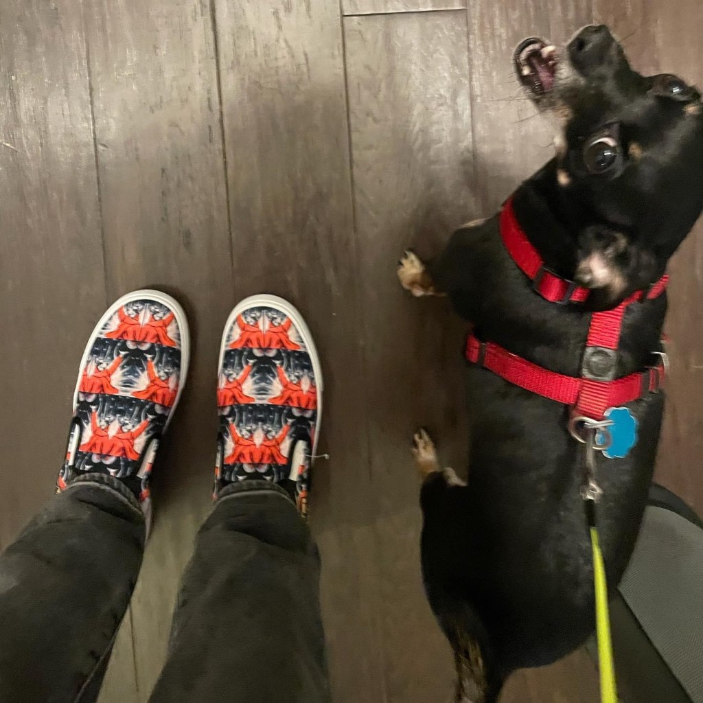 Husky Soviet PropaganDOG Shoes on www.HistoriDOGraphy.com Husky Soviet PropaganDOG Shoes on www.HistoriDOGraphy.com